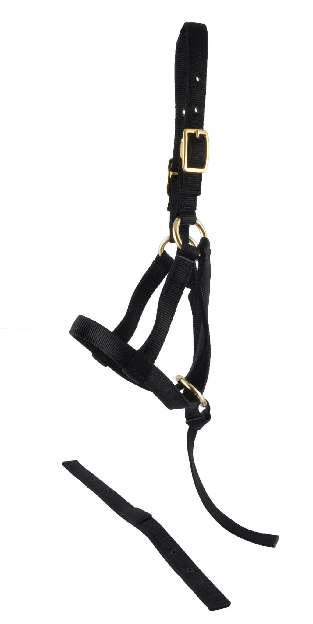 Jeffers Nylon "Grow With Me" Weanling Horse Halter, 3/4"W