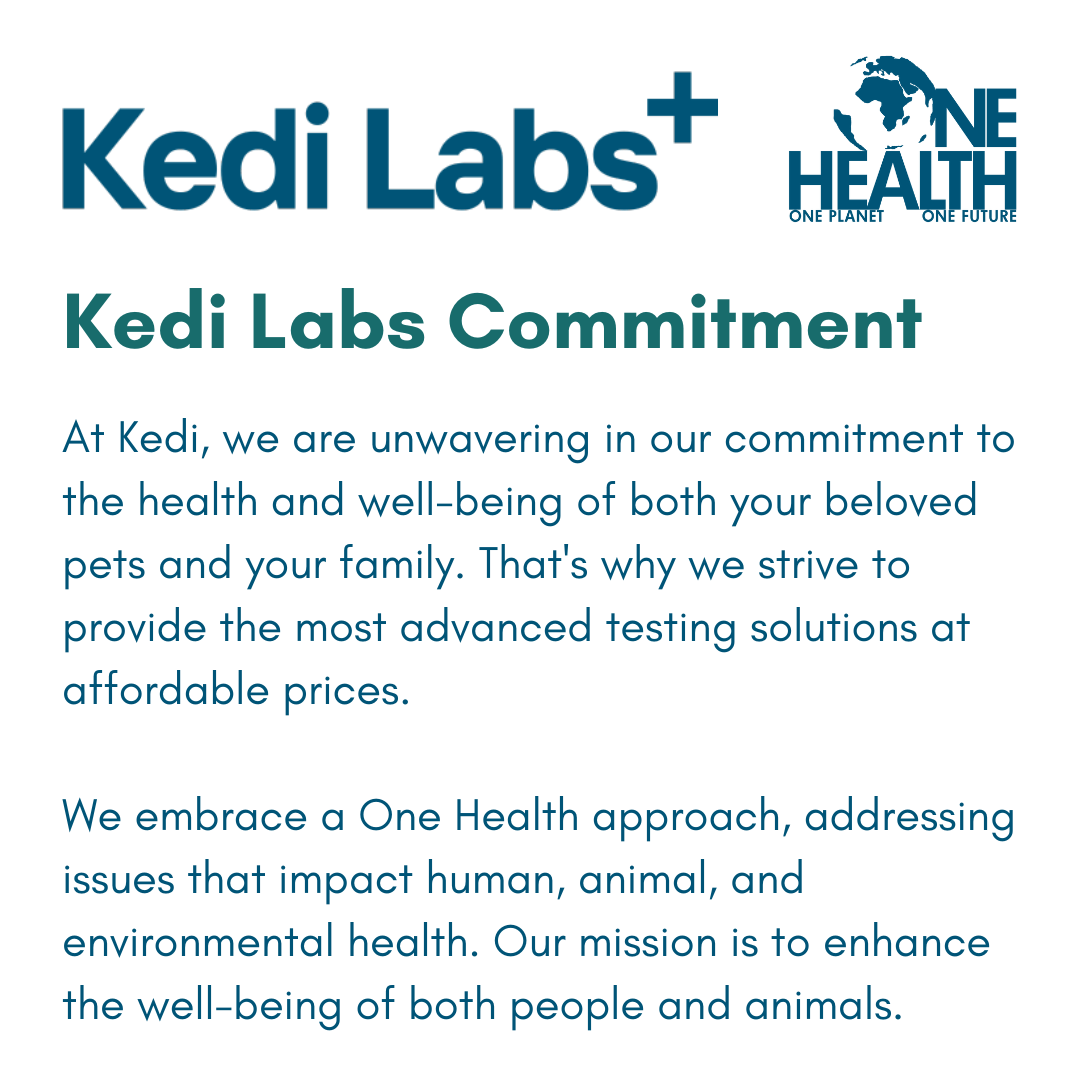Respiratory Infection Check for Dogs (PCR) - At-Home Dog Lab Test | Kedi Labs