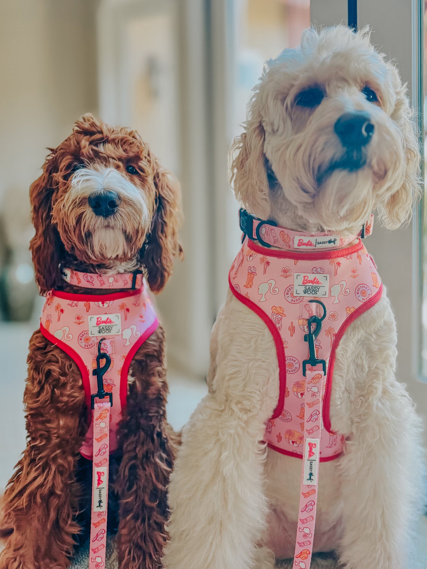 Dog Collar - Western Barbie™