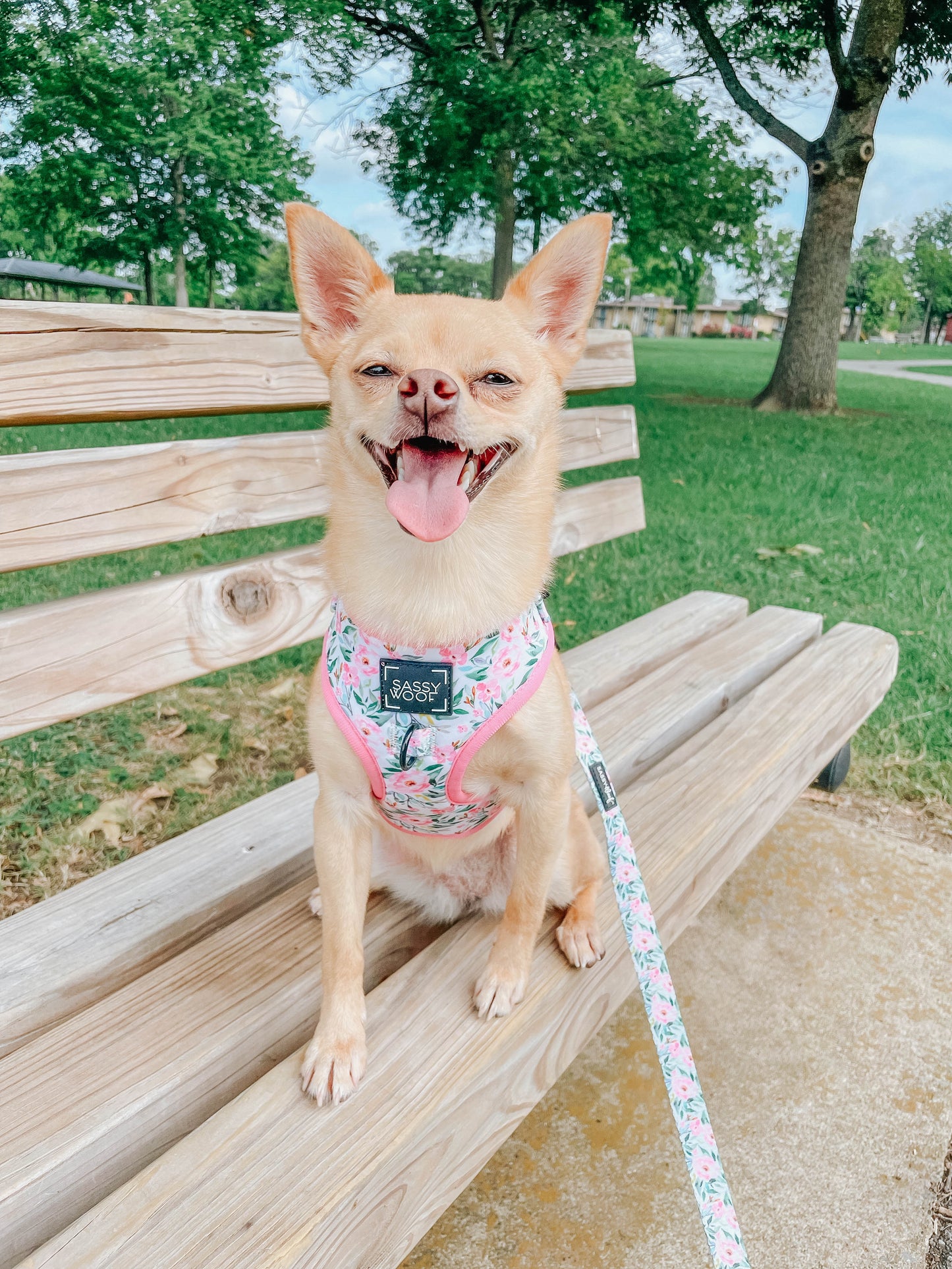 Dog Leash - Magnolia