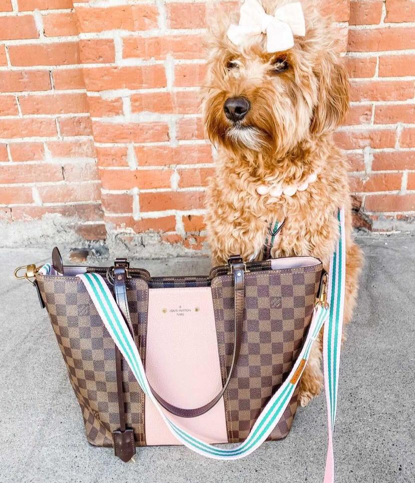 Le Classic Bag Strap
