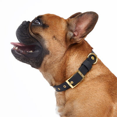 Collar Midnight Black