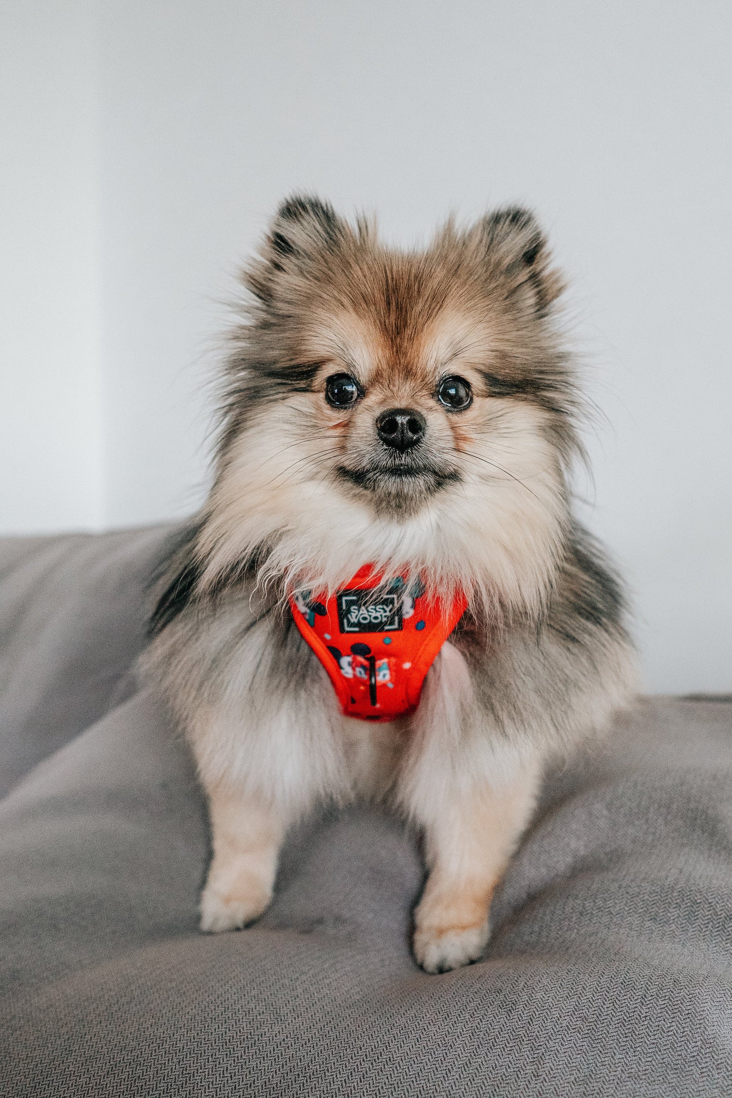 Dog Adjustable Harness - Disney Holiday Collection