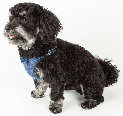 Pet Life ® 'Flam-Bowyant' Mesh Reversed and Adjustable Dog Harness