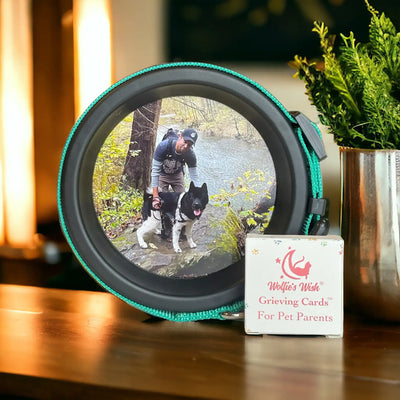 Pet Loss Bundle | Pet Collar Display Frame and Grieving Cards