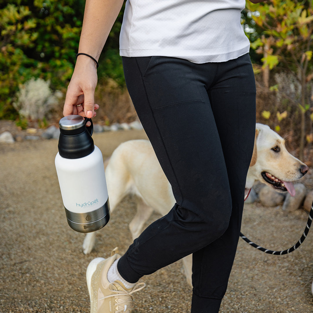HydroPet® 32 oz Portable Dog Water Bottle – Stainless Steel Travel Flask with 2 Detachable Bowls, Carry Bag & Strap