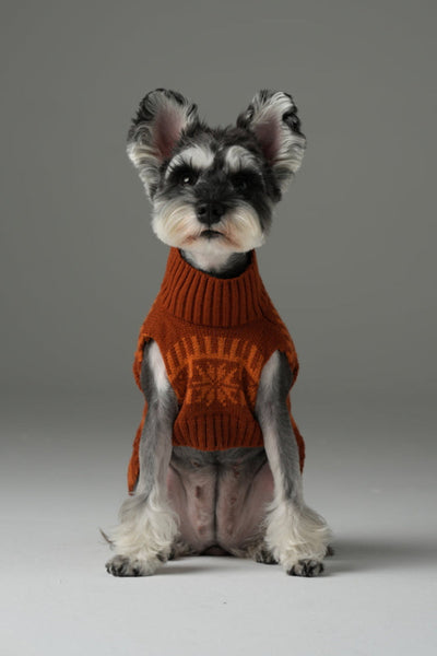 Pretzel Pet Sweater - Tofee Orange