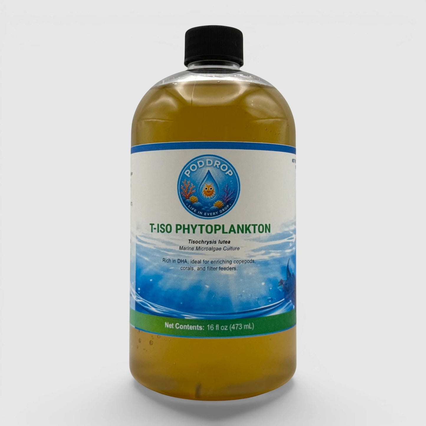 Tisochrysis lutea Phytoplankton Culture
