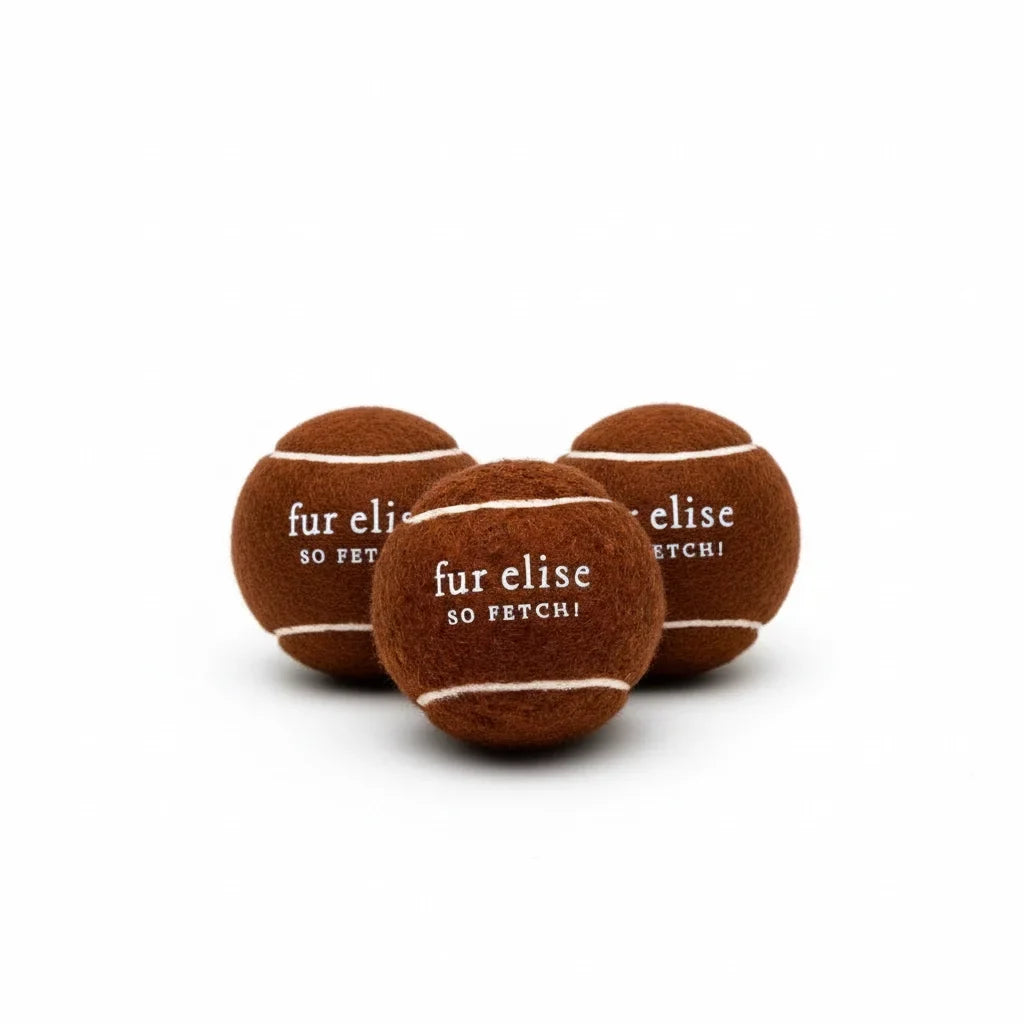 Fur Elise So Fetch! Tennis Ball Pack of 3 - Coffee