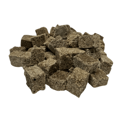 Premium Freeze Dried Blackworms - Power Boost