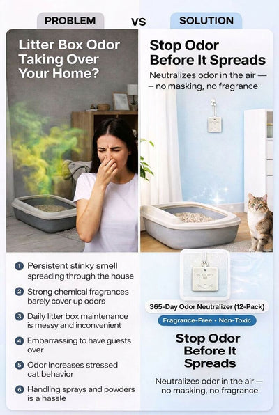 MoodifyPet Cat Litter Box Odor Neutralizer — 12 Pack (Max Coverage)