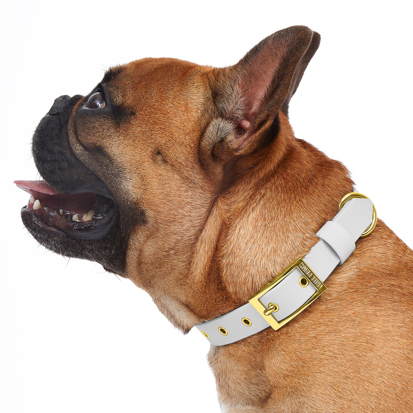 Collar Sandy Beach