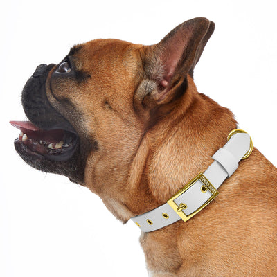 Collar Sandy Beach