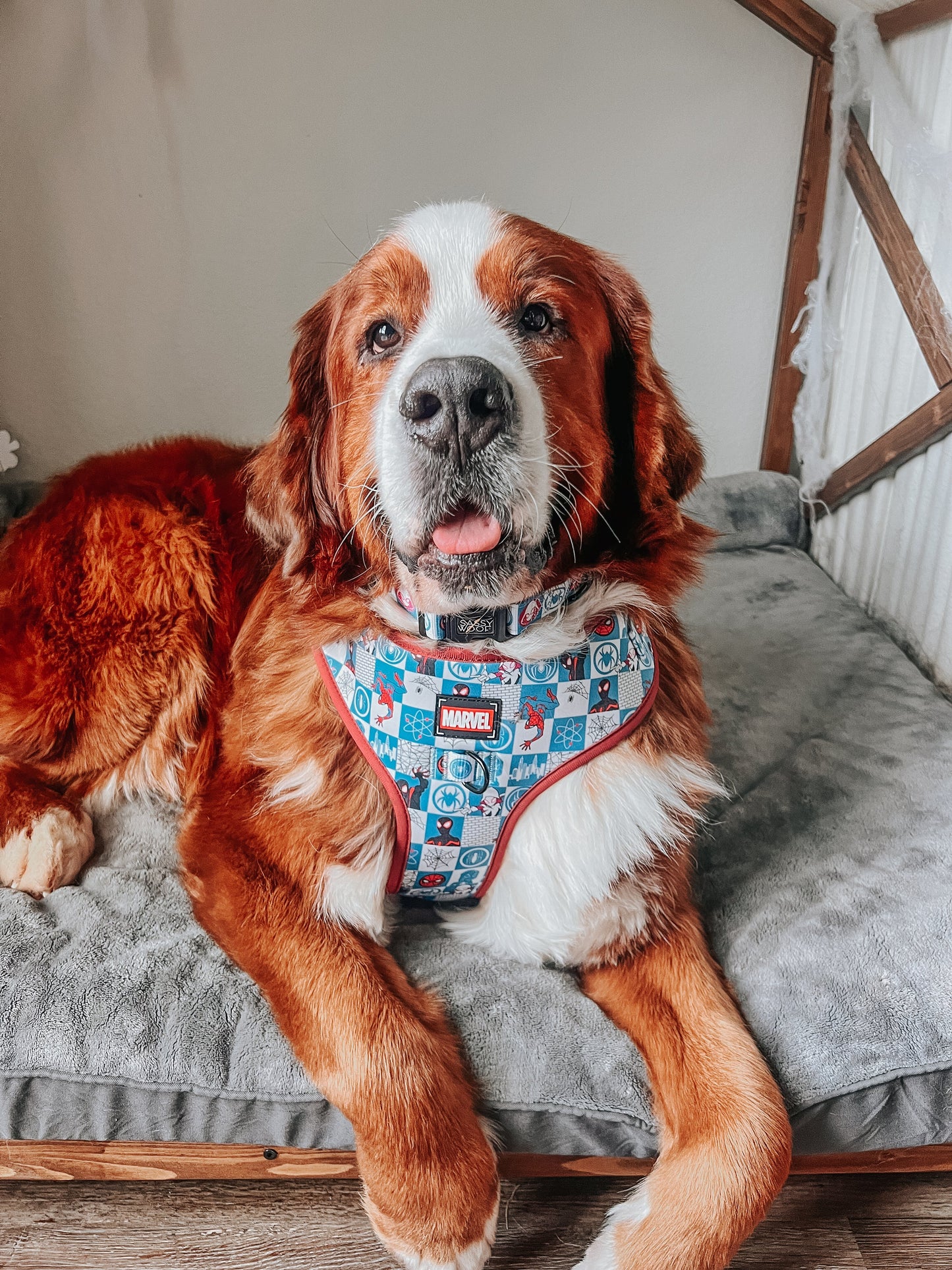 Dog Adjustable Harness - Marvel’s Spider-Man