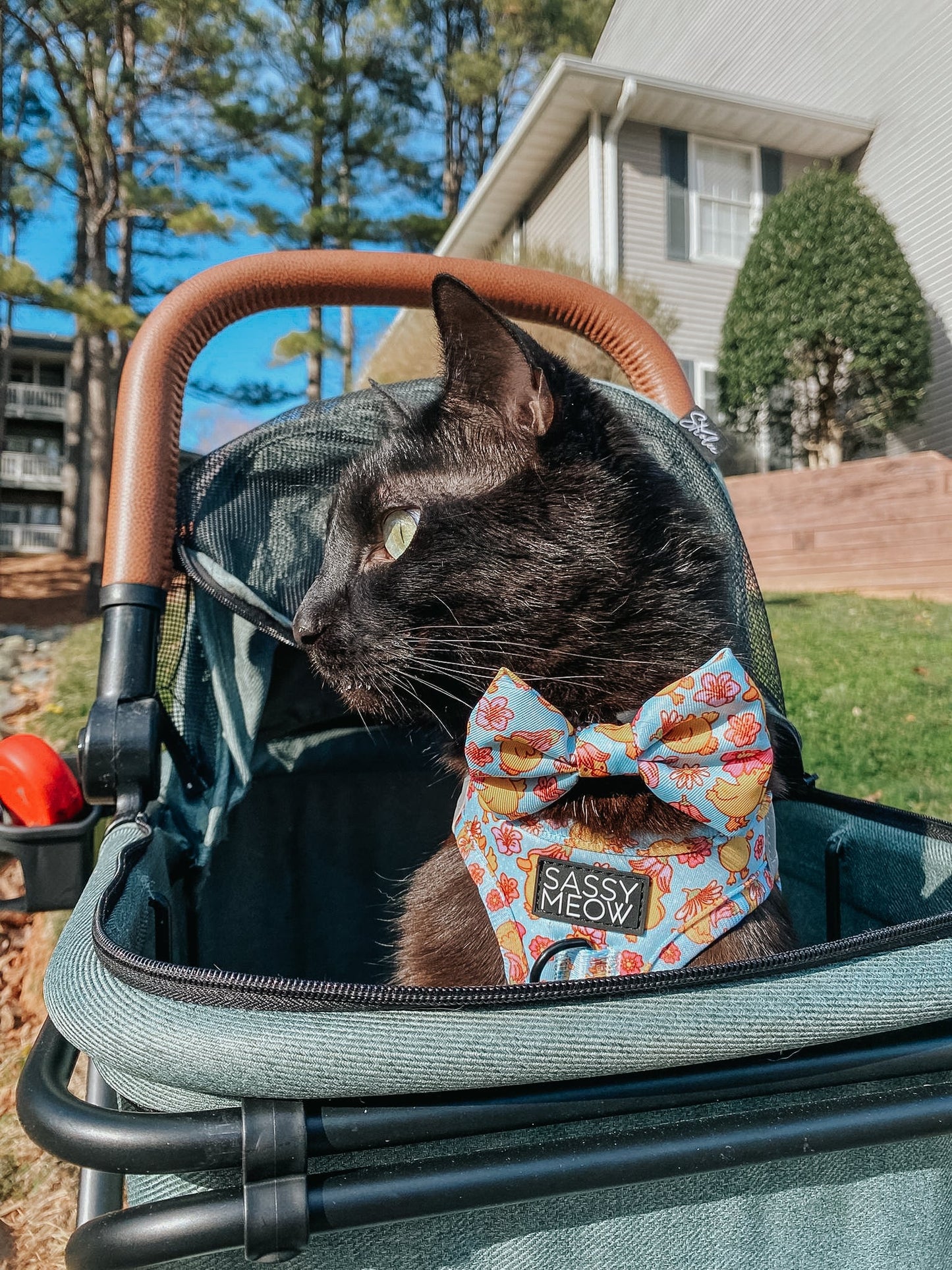 Cat Collar - Good Duck, Babe!