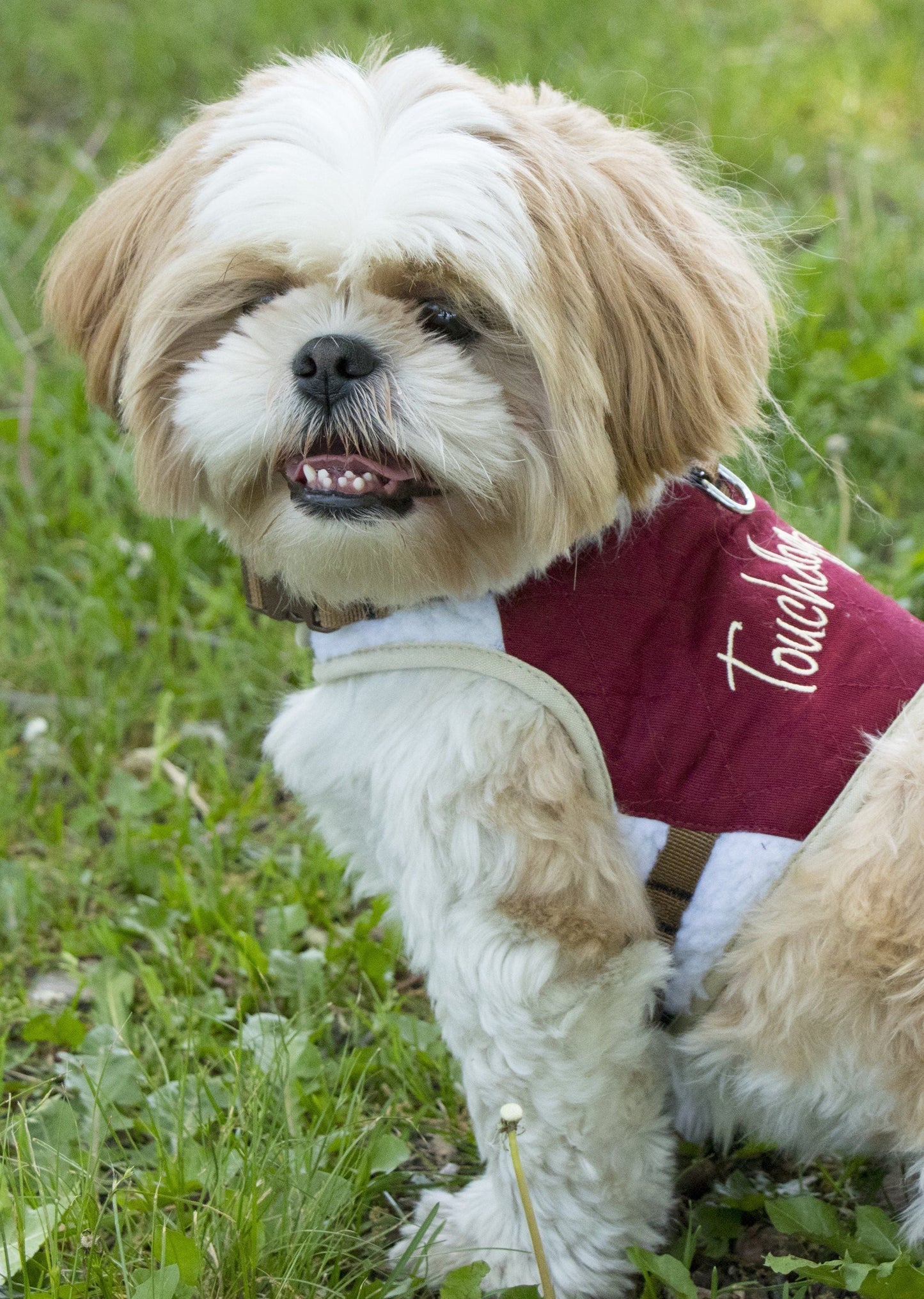 Touchdog ® 'Tough-Boutique' 2-in-1 Adjustable Fashion Dog Harness and Leash