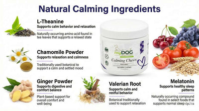 Tranquil Haven Calming Chews