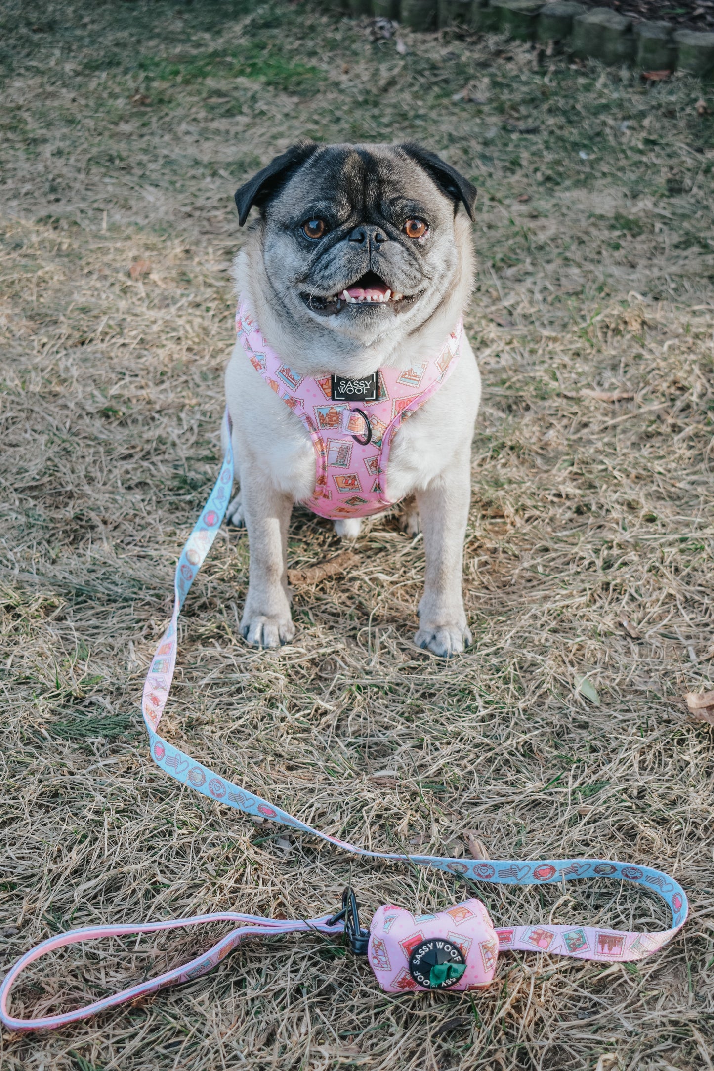 Dog Leash - Out of Office