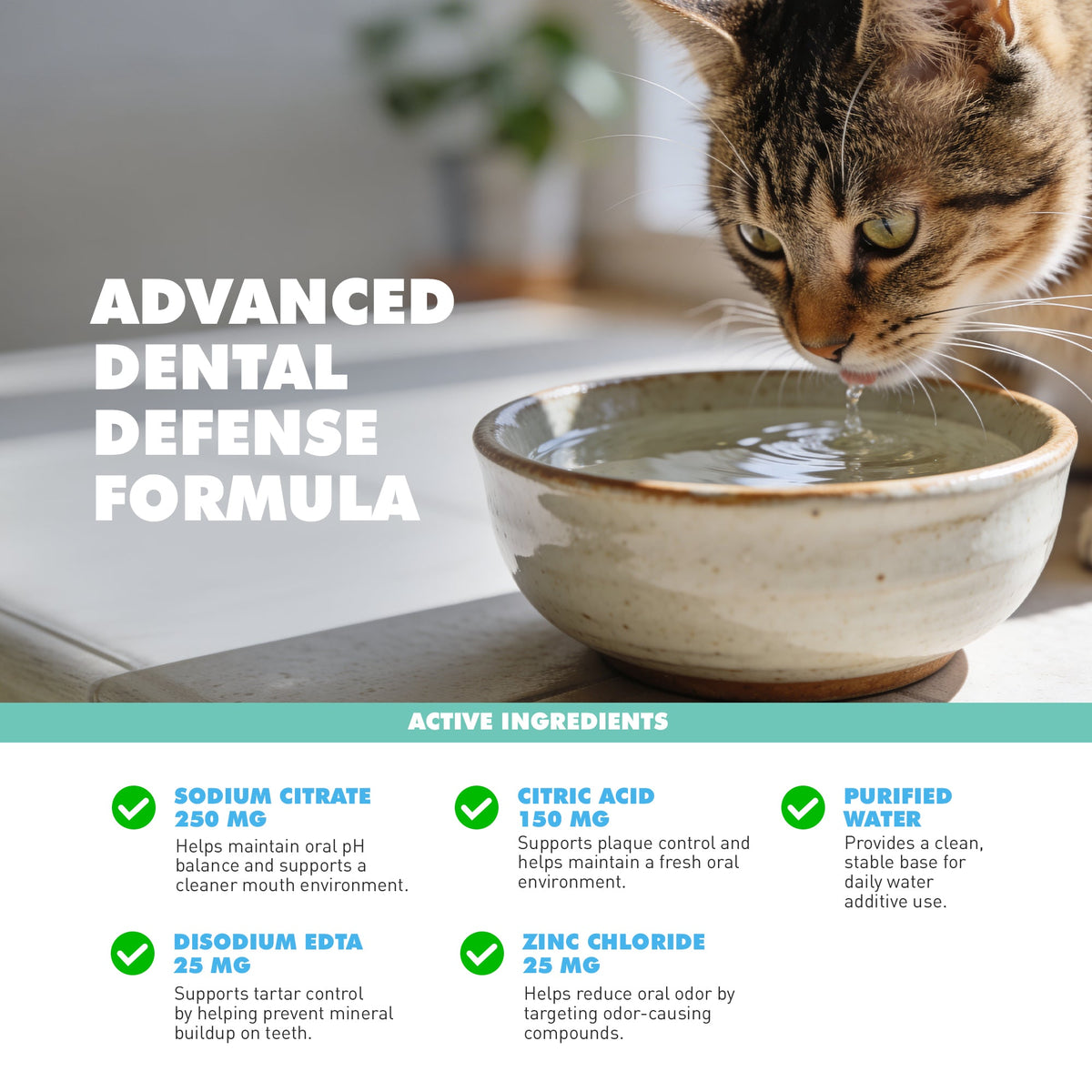 UBAVET Dental Care Water Additive for Dogs & Cats, 16 fl oz