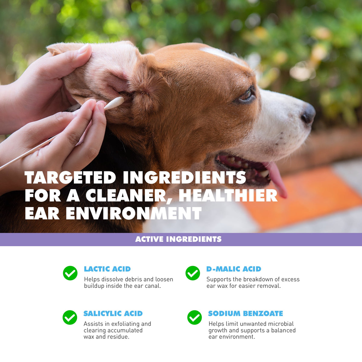 UBAVET Probiotics Gut & Immune Support Powder for Dogs & Cats, 5.3 oz