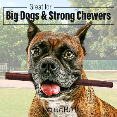 ValueBull Collagen Sticks for Dogs, 12 Inch Thick Chews, Natural Long-Lasting Dog Treats, 10 Count
