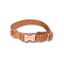 Dottie Collar