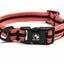 Adventure Dog Collar - Reds/Oranges