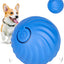 Smart Interactive Dog Toy Ball, Active Rolling Wicked Ball with Automatic Bouncing and Rotating for Puppy/Small Dogs Durable, Chewable, USB Recharger and Fun Gift Toy to Dog 2.2inch