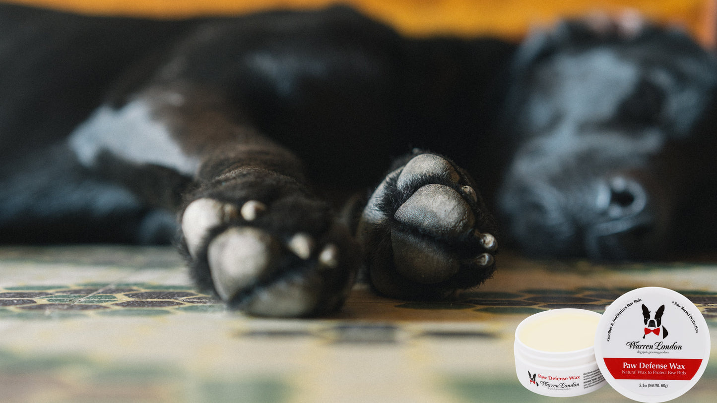 Paw Defense Wax