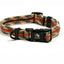 Adventure Dog Collar - Multicolor