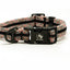 Adventure Dog Collar - Multicolor