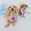 Dog Adjustable Harness - Sweet Treats