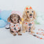 Dog Adjustable Harness - P.S. I Woof You