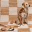 Le Classic Dog Harness