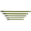 The Modern Dog Company - Olive Green Collar (Weather + Odor Resistant)