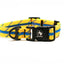 Adventure Dog Collar - Greens/Yellows