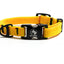 Narrow Adventure Collar
