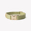 'Green' - Canvas Dog Collar