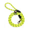 Classic Dog Leash - Greens/Yellows