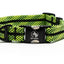 Adventure Dog Collar - Greens/Yellows