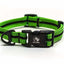 Adventure Dog Collar - Greens/Yellows
