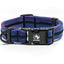 Adventure Dog Collar - Blues