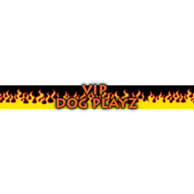 Personalized Red Flames Dog Collar