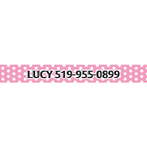 Personalized Pink Polka Dot Dog Collar