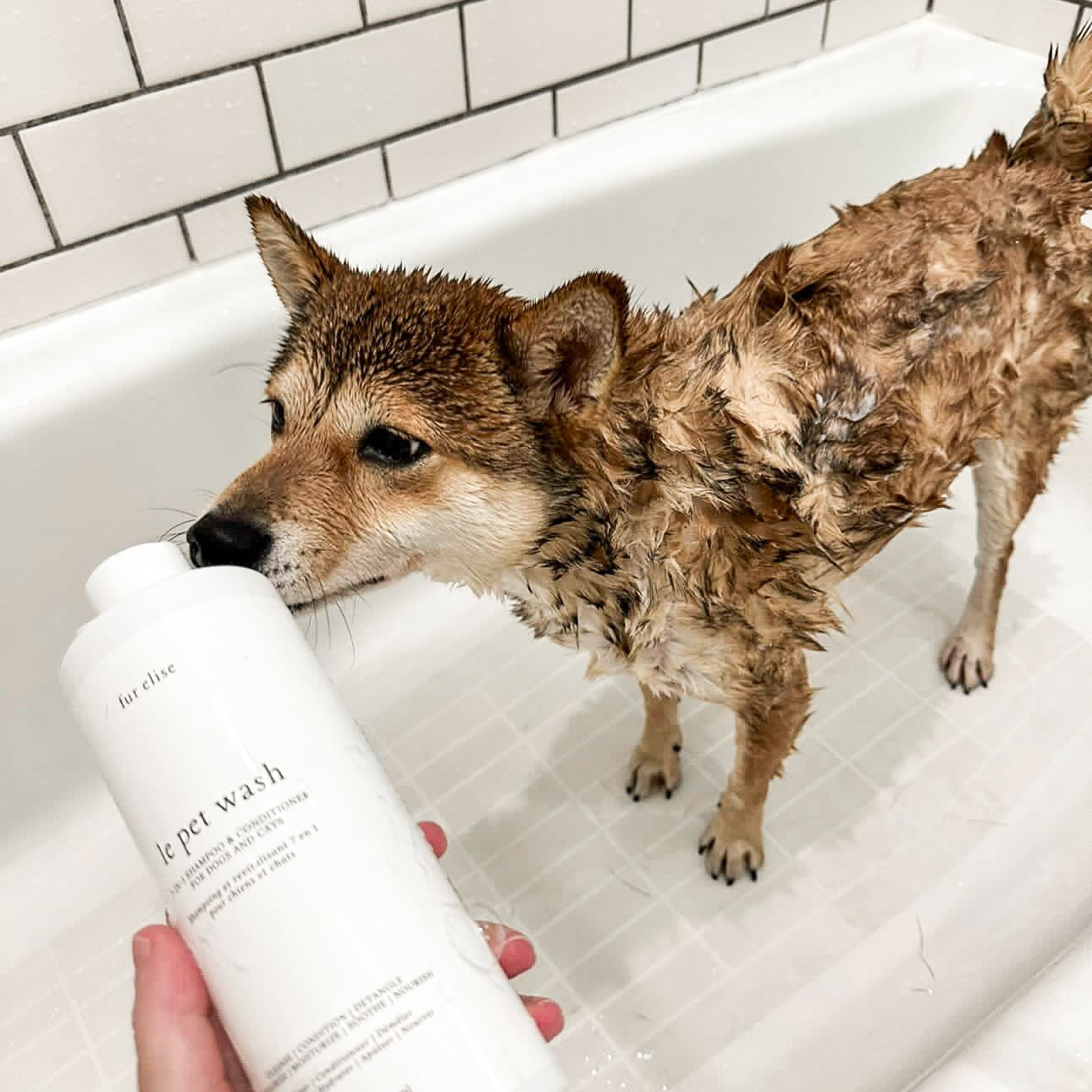 Le Pet Wash