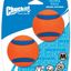 Chuckit! Ultra Ball Dog Toy