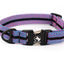 Adventure Dog Collar - Pinks/Purples