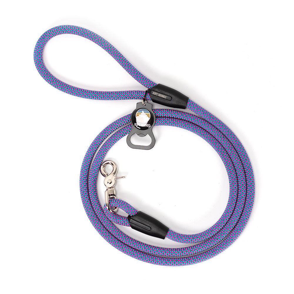 Classic Dog Leash - Pinks/Purples