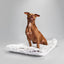 Arctic Shag Cozy Dog Mat, Ultra-Soft, Washable