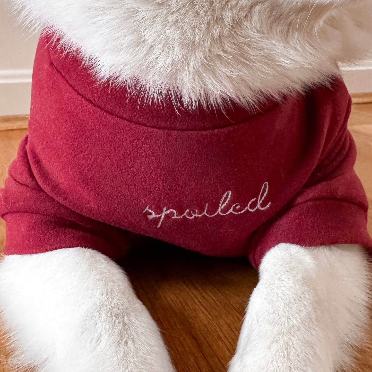 Fur Elise Spoiled Mock Neck Shirt - Lucky